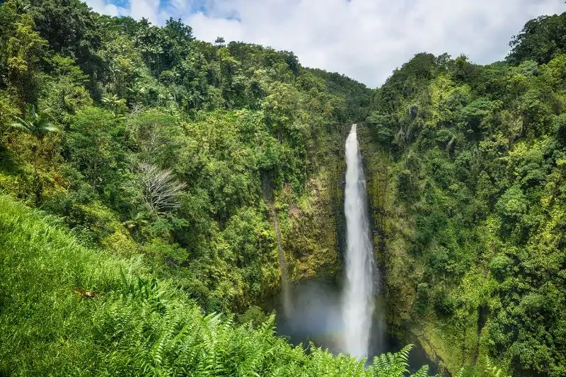 waterfalls in the big island hawaii, Akaka Falls State Park Big Island Hawaii