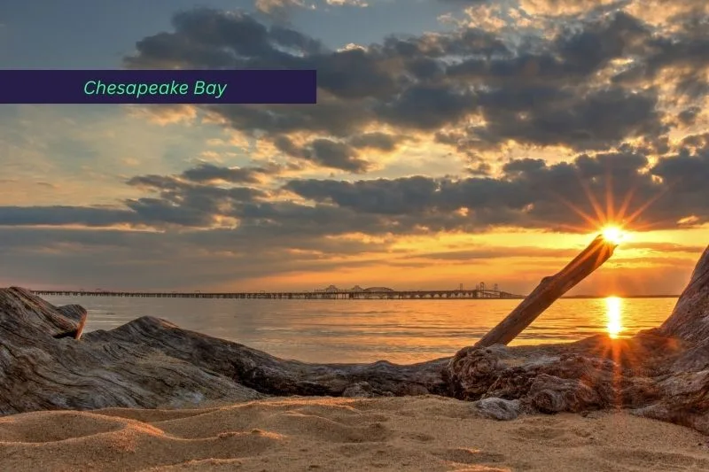 day trips from washington dc, Chesapeake Bay