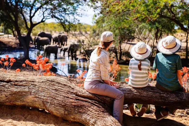 what not to do on a safari in africa, Family on Safari Vacation