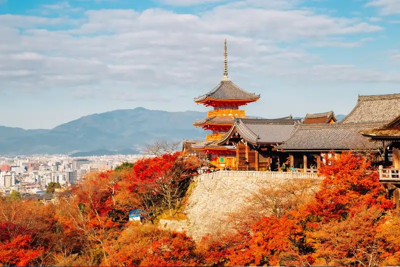 Kiyomizu-dera temple with autumn maple tree in Kyoto