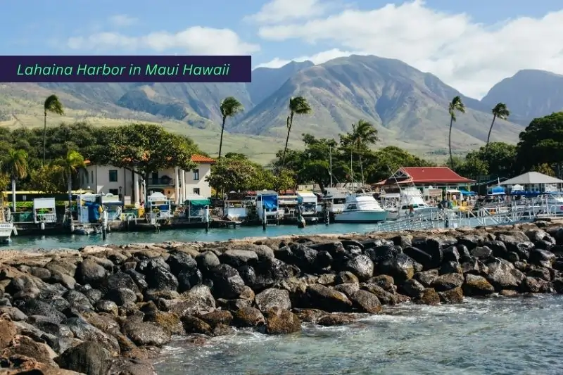 family resorts in maui hawaii, Lahaina Harbor in Maui Hawaii