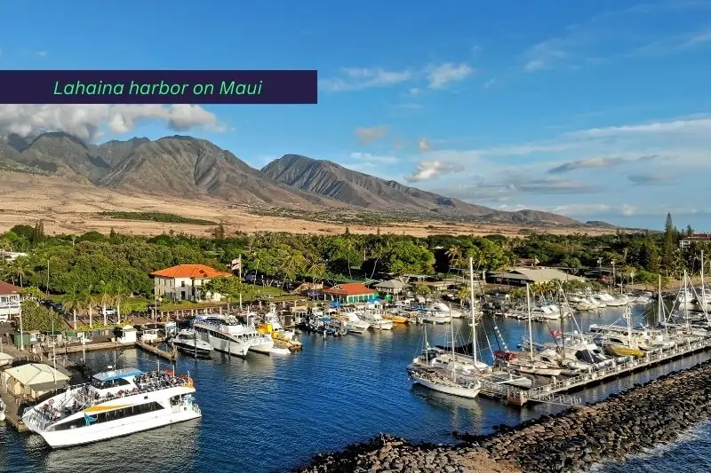 things to do in maui with kids, Lahaina harbor on Maui, Hawaii