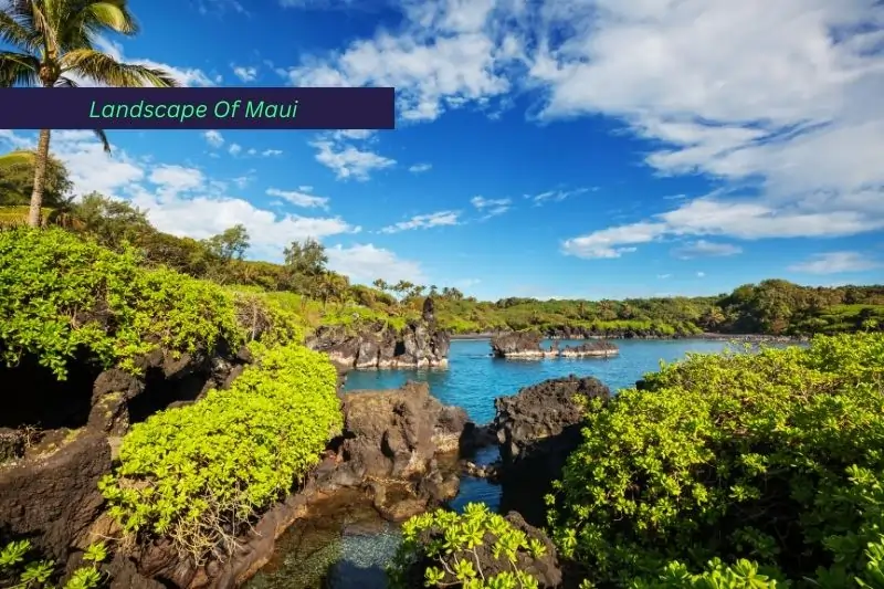 things to do in maui with kids, Landscape Of Maui