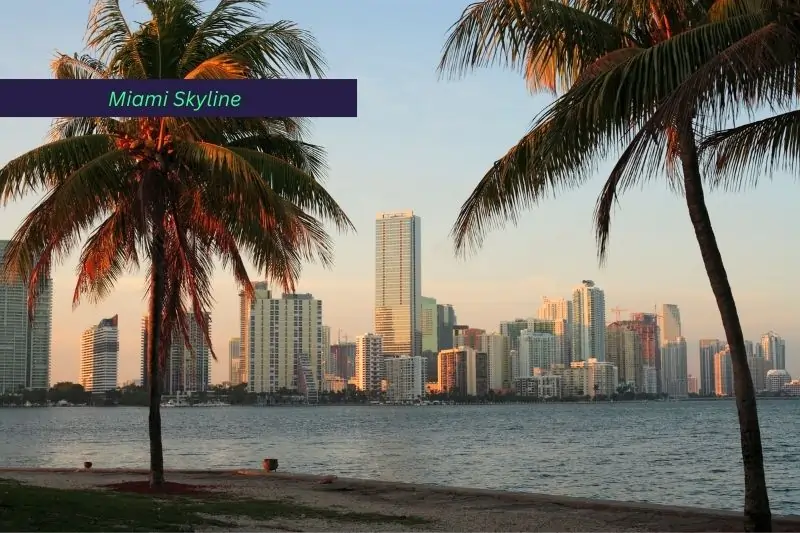 florida solo travel for women, Miami Skyline