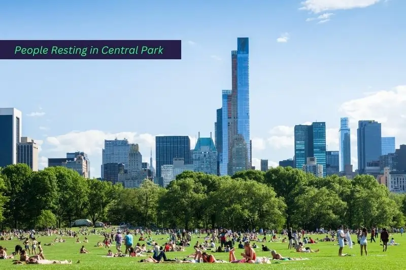 things to do with teenager in new york city, People Resting in Central Park