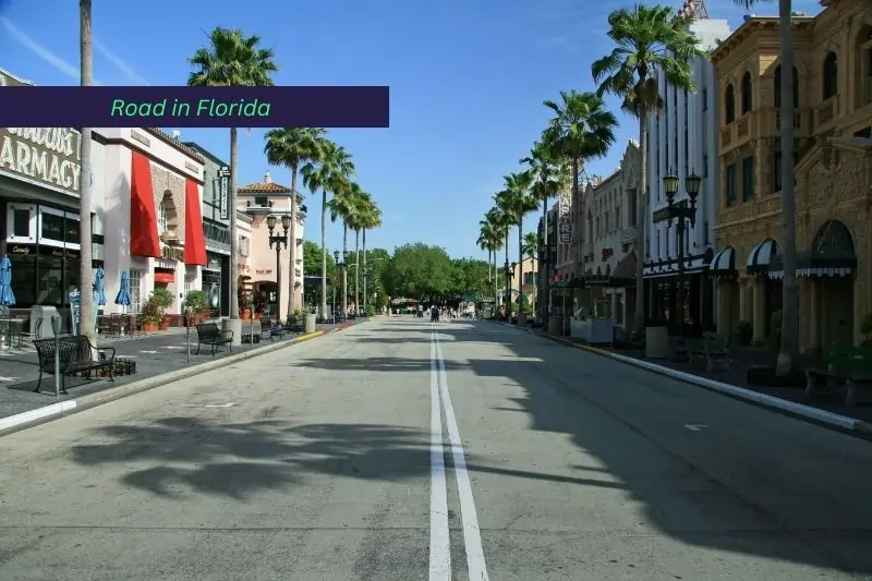 florida solo travel for women, Road in Florida