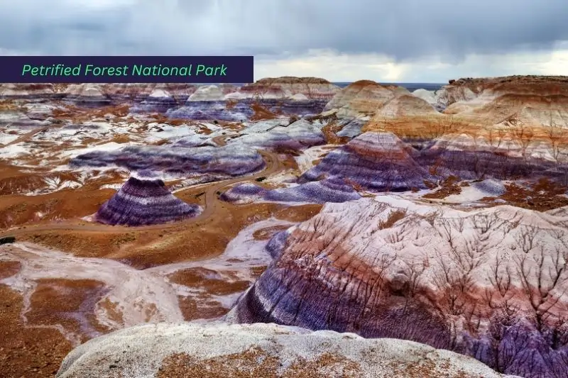 national parks close to phoenix arizona, Stunning Striped Purple Sandstone Formations of Blue Mesa Badlands in Petrified Forest National