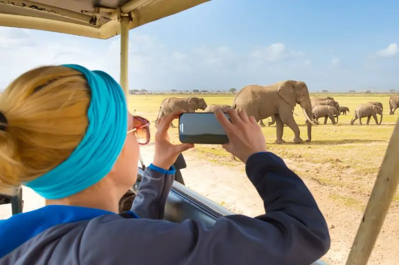 what not to do on a safari in africa, Woman on African Wildlife Safari