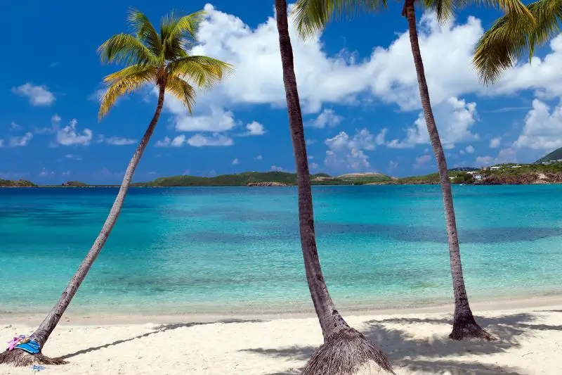 best beaches st thomas vi, palm trees on the beach in Secret Harbour, St. Thomas