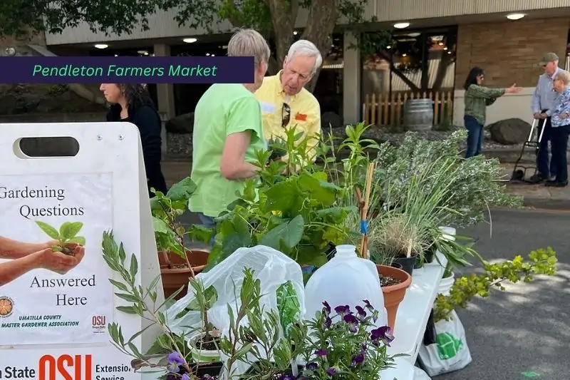 things to do in pendleton oregon, Pendleton Farmers Market