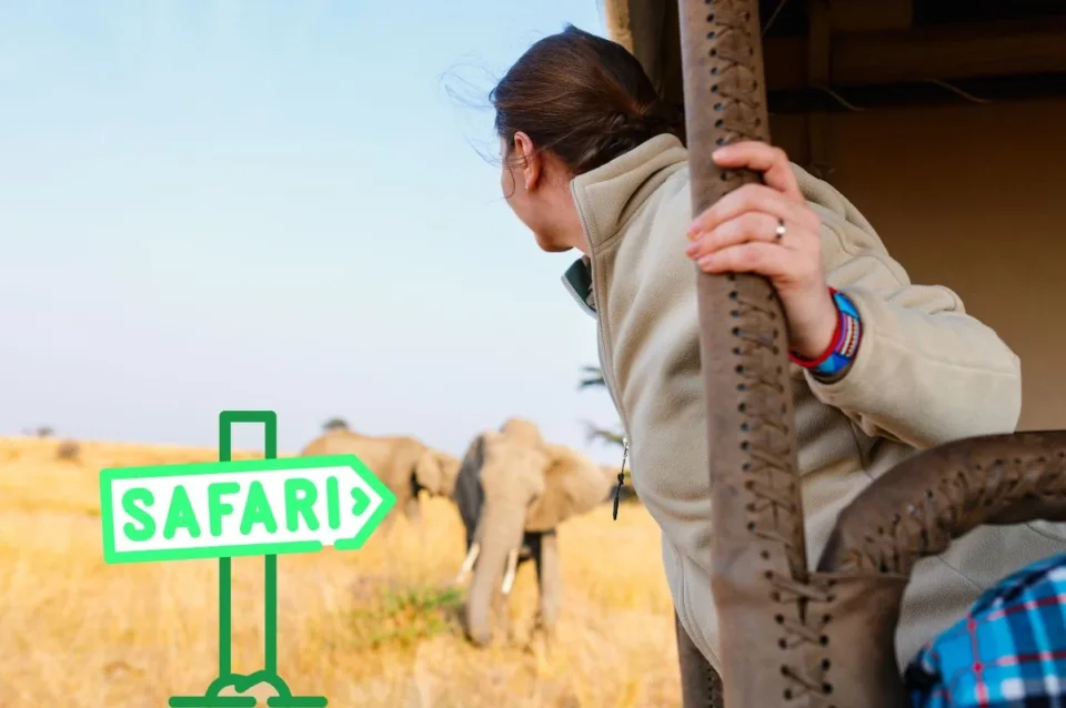 what not to do on a safari in africa